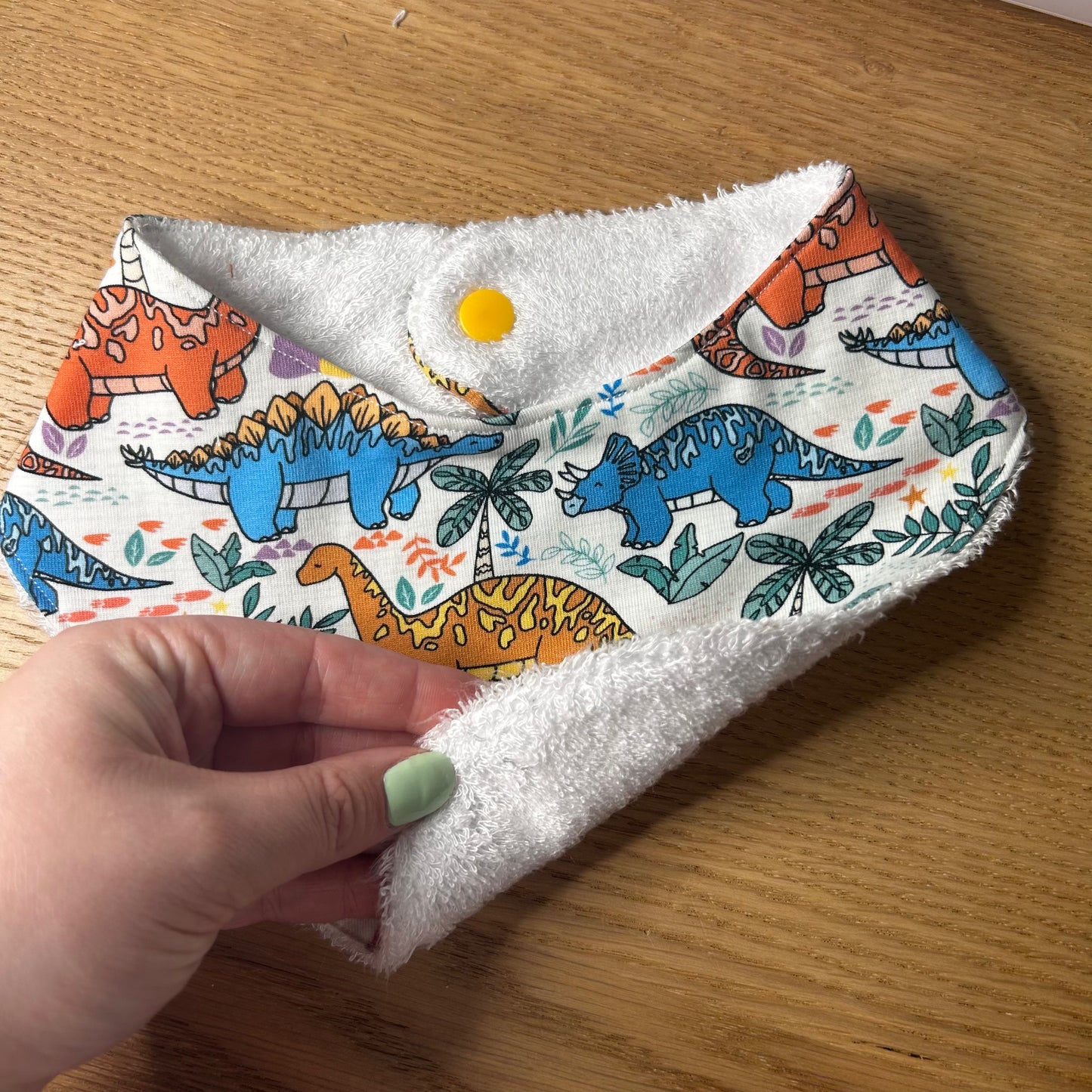Dino Parade Bib